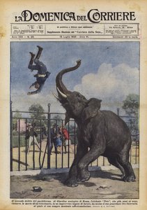 Il secondo delitto del pachiderma