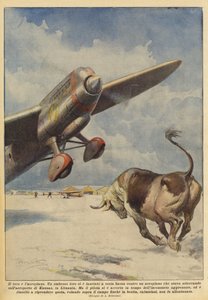 Il toro e l