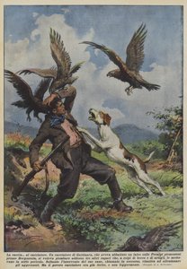 La caccia al cacciatore