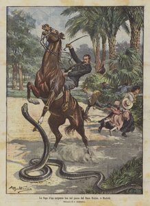 La fuga di un serpente boa nel parco del Buen Retiro, a Madrid