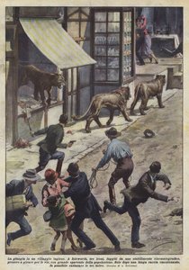 La giungla in un villaggio inglese