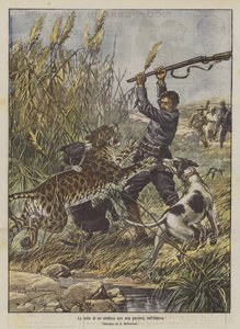 La lotta di un sindaco con una pantera in Algeria da Achille Beltrame