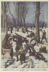 La miseria e il disordine a Vienna
