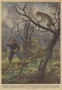 La sorpresa di un cacciatore da Achille Beltrame