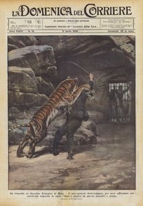 La tragedia al Giardino Zoologico di Roma da Achille Beltrame