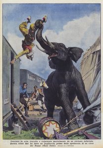 Lanciato in aria, travolto e calpestato mortalmente da un elefante infuriato