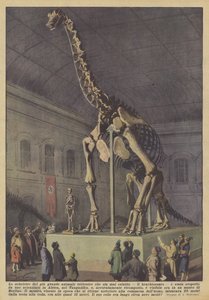 Lo scheletro del più grande animale terrestre che sia mai esistito, il brachiosauro