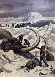 Mammut al Polo Nord da Achille Beltrame