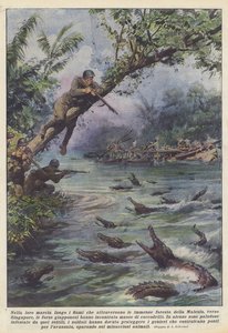 Nella loro marcia lungo i fiumi che attraversano le immense foreste della Malesia