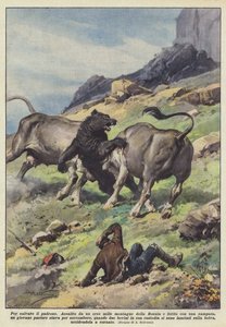 Per salvare il padrone
