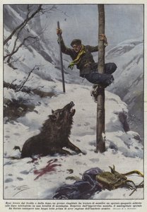 Reso feroce dal freddo e dalla fame, un grosso cinghiale ha tentato di assalire un operaio da Achille Beltrame
