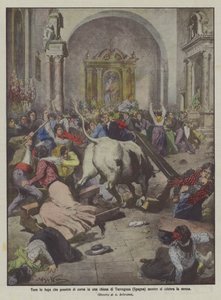 Toro in fuga penetra in una chiesa di Tarragona durante la messa