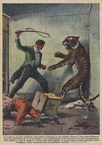 Un domatore che dava spettacolo nella gabbia di una tigre, in una cittadina francese