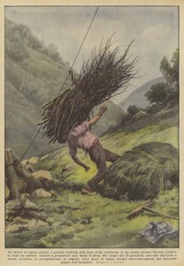 Un fascio di legna, giunto a grande velocità alla base della teleferica di un monte presso Varese