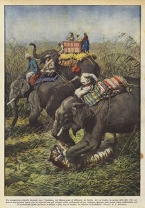 Un sanguinoso duello durante una battuta del Maharajah di Bikanir, in India