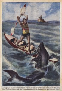 Una battaglia con uno squalo