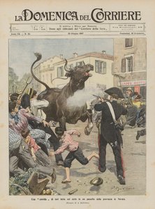 Una corrida di tori fatta sul serio in un paesello della provincia di Novara