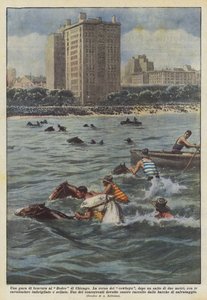 Una gara di bravura al Rodeo di Chicago