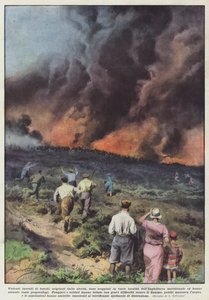 Violenti incendi di boschi, originati dalla siccità, sono scoppiati in varie località