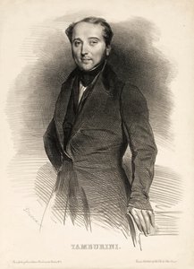 Ritratto del cantante d