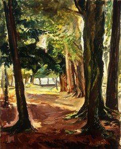 Alberi vicino alla Cote de Grace