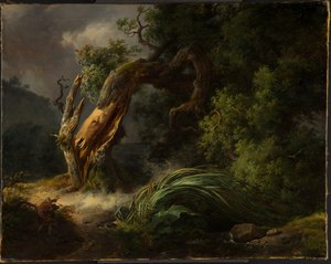 La quercia e il giunco da Achille Etna Michallon