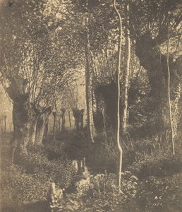 Paesaggio, Arras, 1852 da Adalbert Cuvelier