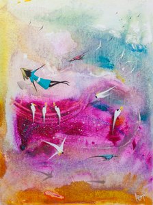 Un volo da sogno pieno di colori