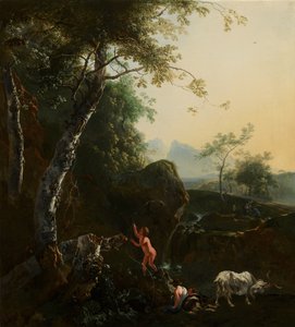 Paesaggio montuoso con cascata da Adam Pynacker