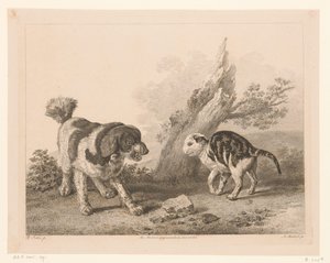 Cane e gatto in posizione di combattimento (serie: Animali dai dipinti di maestri olandesi) da Adam von Bartsch