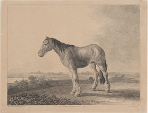 Cavallo in piedi su un campo in profilo a sinistra, 1809 da Adam von Bartsch