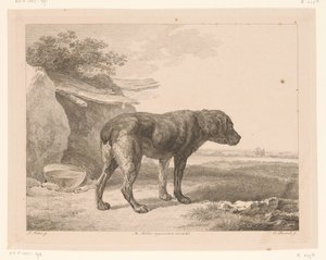 Cane in piedi in un paesaggio da Adam von Bartsch