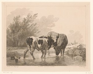 Due mucche in un ruscello da Adam von Bartsch
