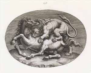 Speculum Romanae Magnificentiae: Leone che attacca un cavallo, c1540-80 da Adamo Scultori