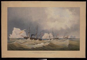 H.M.S. Phoenix con i suoi consorti, The Diligence e Breadalbane, tra gli iceberg