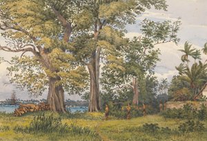 Baia di Apia, Upolu, Isole dei Navigatori, [Samoa] dalla veranda dei miei alloggi malati, 6 novembre 1849 da Admiral Sir Edward Gennys Fanshawe