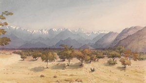 Due leghe da Santa Rosa [Cile], 14 gennaio 1851 [con le Ande e l