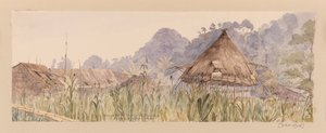 Villaggio e casa principale della tribù Segu o sul fiume Manuk o Segur dai Caraibi, Nord America e album di Borneo