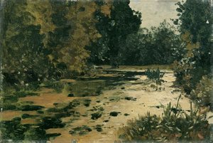 Stagno nel bosco