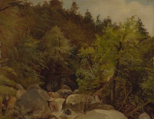 Cascata vicino a Ohlstadt da Adolf Heinrich Lier