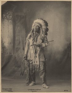 [Capo Cavallo Americano, dell