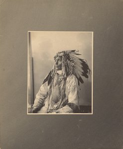 Uccidere il cavallo maculato, Assiniboines da Adolph F. Muhr