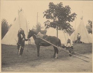 Sioux Litter