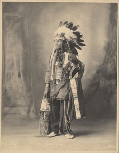 [Cavallo maculato, del popolo Oceti Sakowin Oyate].
