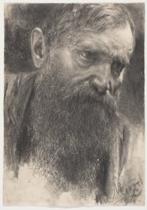 Testa di un Uomo Barbuto in Mezza-Profila da Adolph Menzel