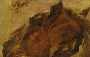 Testa di un Cavallo Morto, 1848 da Adolph Menzel