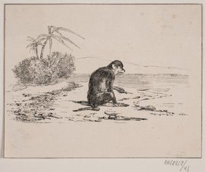Abekatten da Johan Adolph Kittendorff