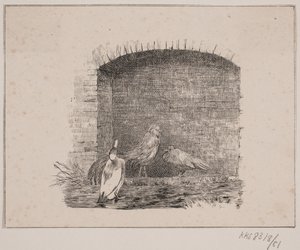 Galline e anatre da Johan Adolph Kittendorff