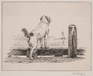 Cane sulla spiaggia da Johan Adolph Kittendorff