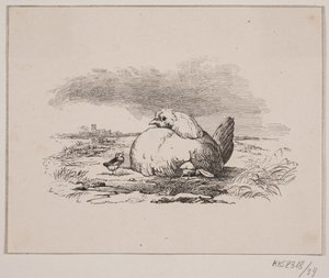 I pulcini da Johan Adolph Kittendorff
